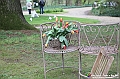 VBS_2153 - Inaugurazione Messer Tulipano 2025